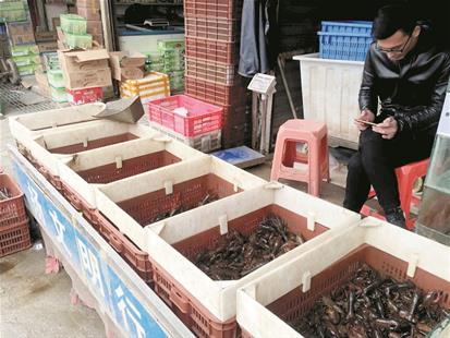 华南海鲜市场_武汉海鲜火锅巨头喜晒账单＂营改增＂拉动产业链全线升级