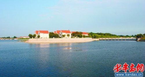 天鹅白鹭成胶河常客