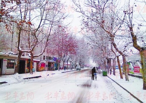 莱西天气预报查询15天_莱西教育网_莱西天气