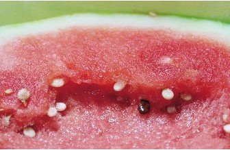 专家:生长剂催熟的白籽西瓜对人体无害