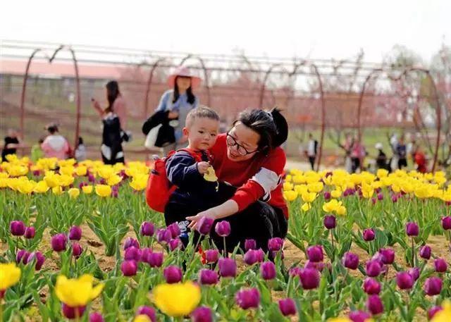 安陆gdp_安陆市国民经济和社会发展第十三个五年规划纲要 2016 2020(3)