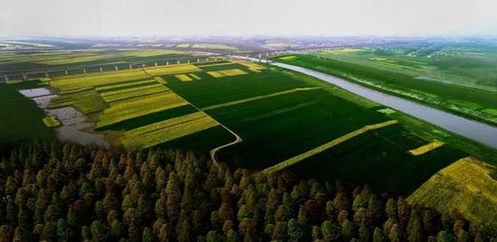 重磅!荆门这个地方成国家级农村产业示范园