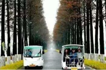 40元坐观光车畅游东湖绿道