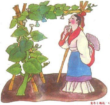 80后小学语文课本插图精选