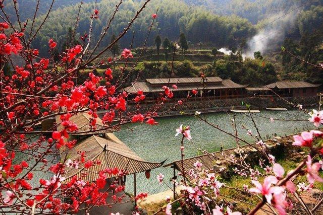 林苍村人口_人口普查(3)