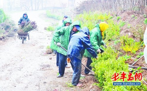 胶南街道人口_胶南隐珠街道地图