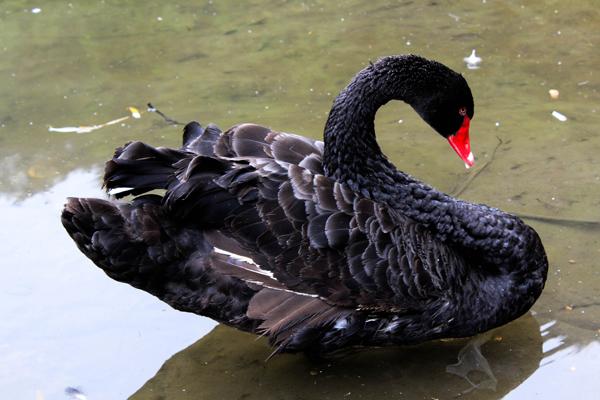 大学生周末游武当山攻略