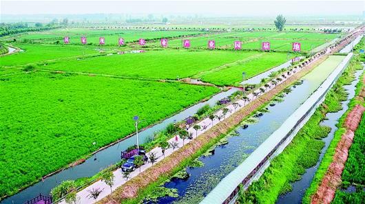 湖北唯一！潜江现代农业产业园挺进“国家队”