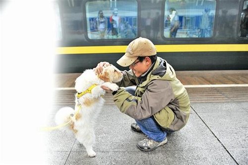 武昌励志狗等回主人 骑吉要养小萨一辈子