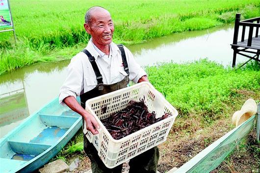 湖北唯一！潜江现代农业产业园挺进“国家队”