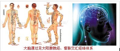 警惕抑郁症患者自杀 科研新成果突破抑郁治疗