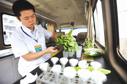 武汉农产品检测室探访:蔬菜能不能吃仪器先尝