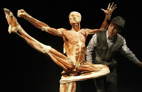 德国人体塑化创始人哈根斯病重 称死后也将塑