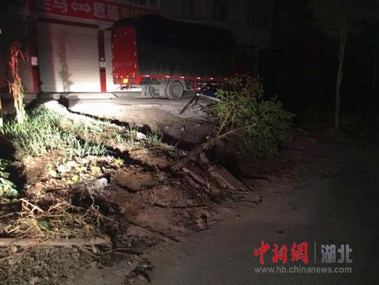 男子驾车撞倒桂花树后逃逸 交警视频监控抓人