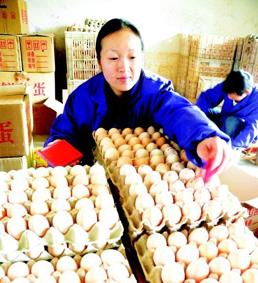夷陵区强化疫情排查 2万枚新鲜鸡蛋销往城区