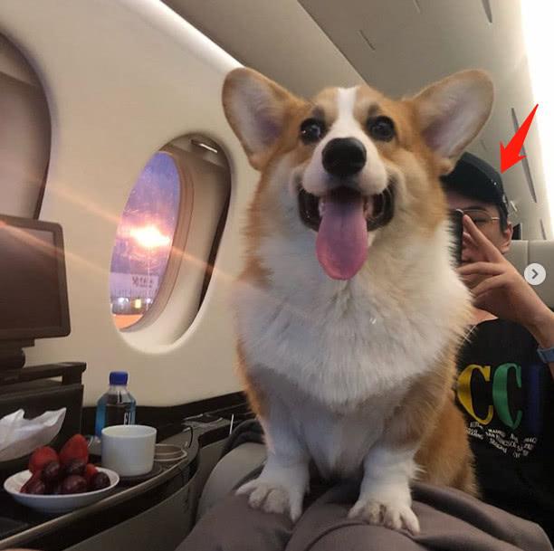 王思聪晒新宠物疑坐实恋情 绯闻女友是个演员