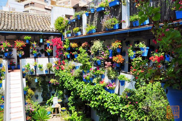 花香满城 在科尔多瓦与上帝邂逅_大楚网_腾讯网