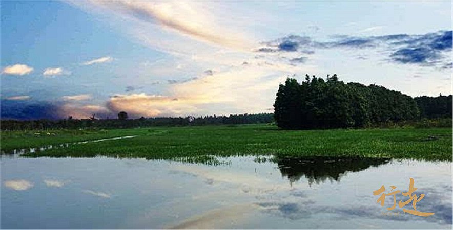 漫步水上森林-仙桃梦里水乡 _行走·探索与发