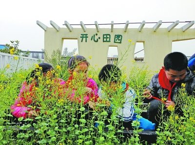 武汉一小学楼顶办"开心农场" 学生体验当农夫