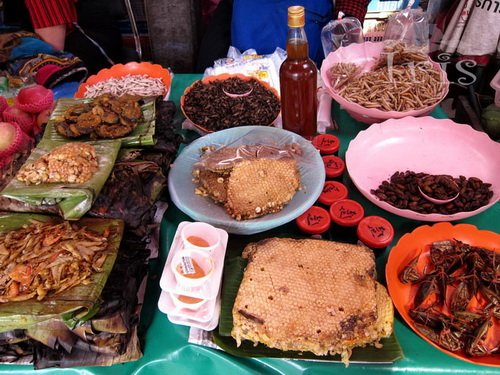 泰国美食之都清迈 好吃让你绝望的美味