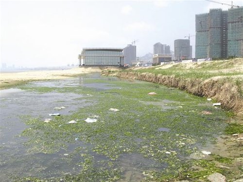 武汉代售海景房不靠谱 交通不便污水直排大海