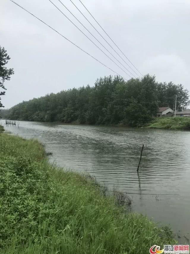 潛江“擺渡爺爺”肖開生：32年風(fēng)雨無阻的堅(jiān)守