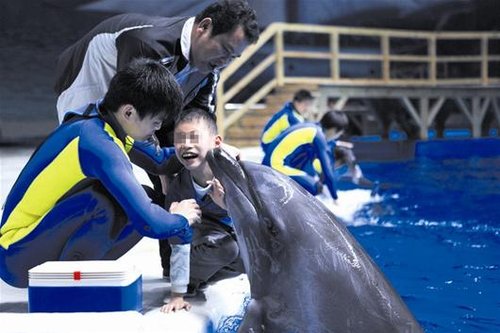 奥运冠军郑李辉陪自闭症孩子 亲密接触海豚(图