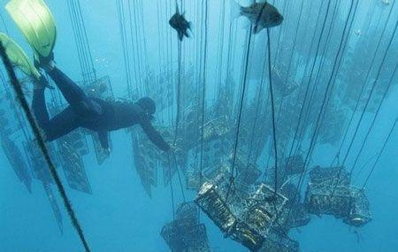 盘点全球收入最高的职业 飞机回收员年薪可过