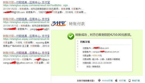 支付宝大面积泄漏转帐付款信息 问题出在哪?
