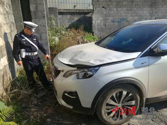 男子驾车撞倒桂花树后逃逸 交警视频监控抓人