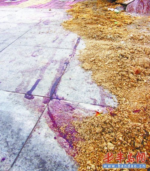 无证驾车撞死人找人顶包_腾讯·大楚网