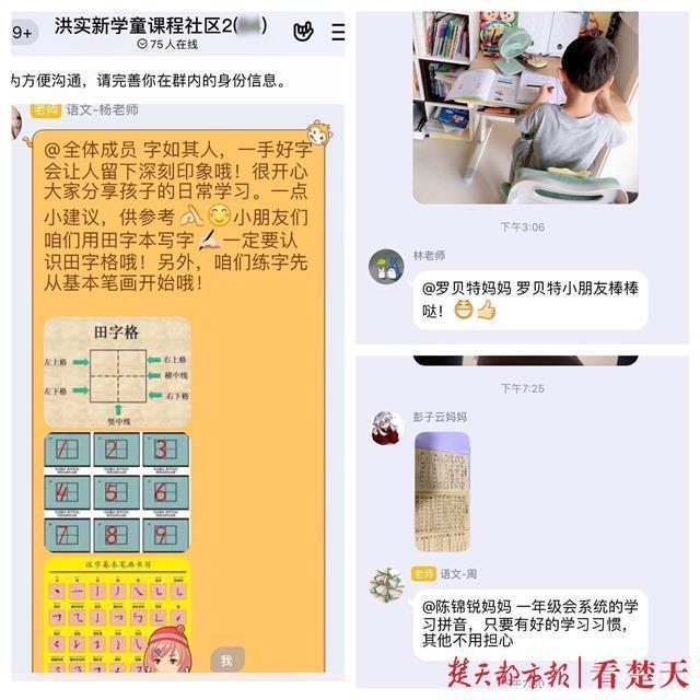 老师在群里指导新生