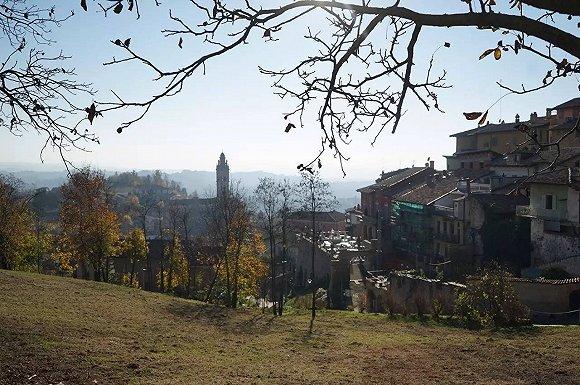 意大利美食--米其林七星白松露之王