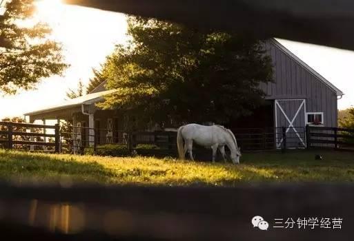 盘点:2016年的十大冷门但却有着暴利的小本生意