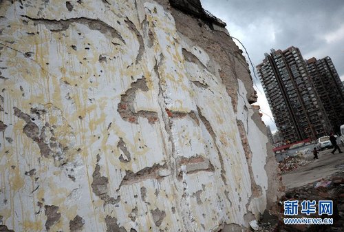 葡萄牙艺术家在上海拆迁房雕绘户主肖像(高清