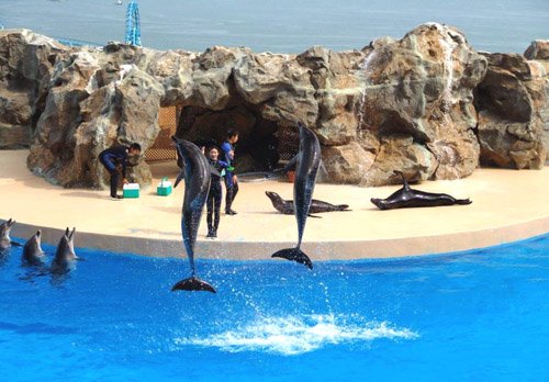 香港必去的五大景点 繁华香港面面观 _旅游频