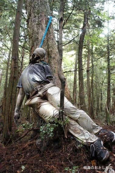 日本自杀森林超自然现象吸引众多轻生者