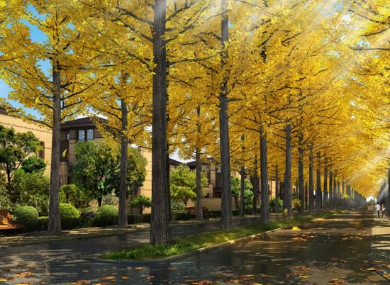 天屿东湖双湾半岛城市一线湖境大宅