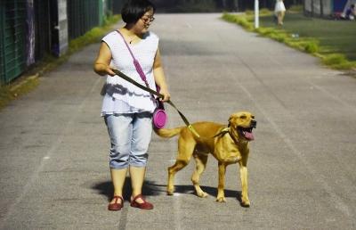 女子秀计步每日冠军 原为计步器绑在狗身上