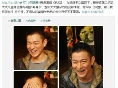 刘德华承认娇妻<em>怀孕四个</em>余月 避谈<em>胎儿</em>性别(<em>图</em>