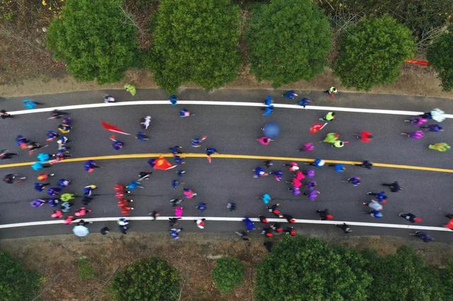 奥运冠军领跑武汉“山马” 3000名选手奔走山区“最美公路”