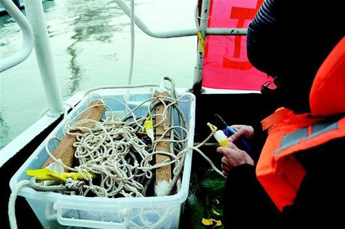长江淡水豚科考船17日抵宜 7天目测发现7头江豚