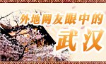 ����������е��人