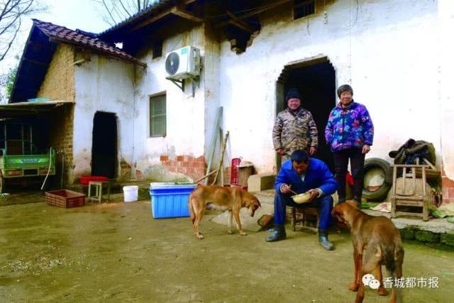 男子高考落榜精神失常 96位村民接力送饭14年