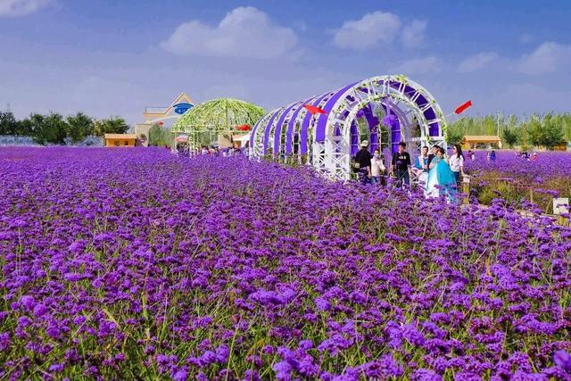 冲着《大话西游》而来 却爱上大漠的别致与慢