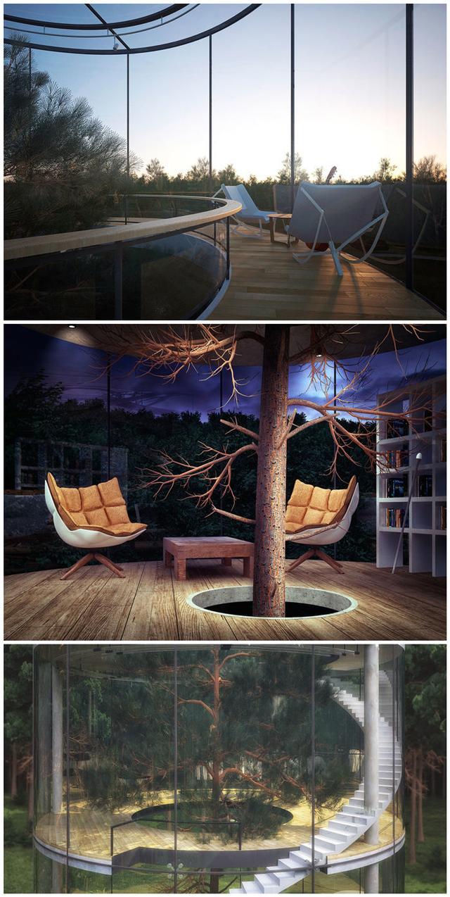 一棵树一座房子打一成语疯狂看图猜成语(3)