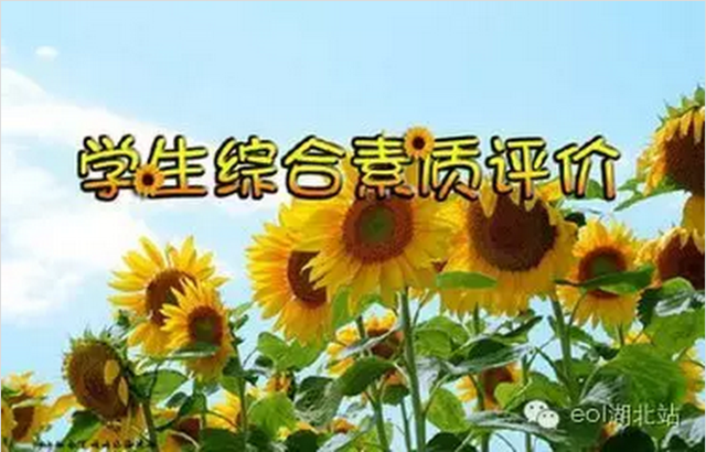 武汉中考改革:不再唯分数,学生多了选择权