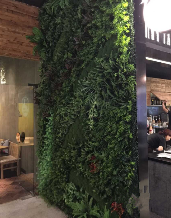时尚装饰 如何让绿色植物爬上墙