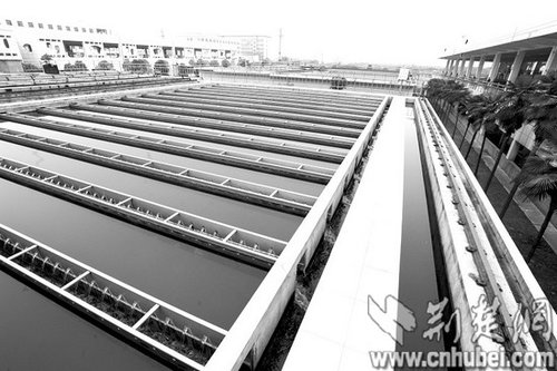 白沙洲水厂供水异味消除 出厂水水质符合国家标准
