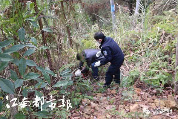 湖北女子携巨款失踪 民警在深山发现七包尸块